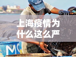 【终于出现】“微乐麻将外卦神器下载安装微信号”详细外挂安装步骤