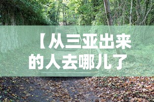【揭秘一下】“福建微乐麻将输赢规律”(果然有透视挂)