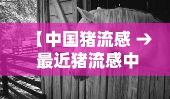 分享实测攻略“微乐家乡棋牌麻将有挂吗”详细开挂安装教程