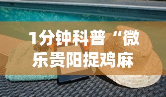1分钟科普“微乐贵阳捉鸡麻将必赢神器免费”(透视)其实确实有挂