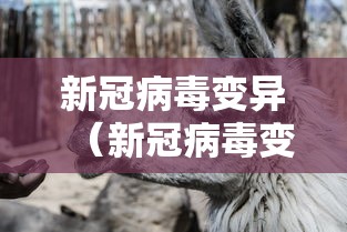 万能开挂辅助“微友娱乐有没有挂啊？”(透视)开挂辅助脚本+详细开挂安装教程