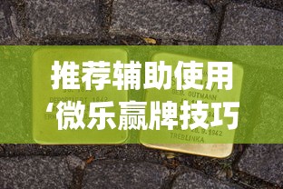 推荐辅助使用‘微乐赢牌技巧”(原来确实是有插件)